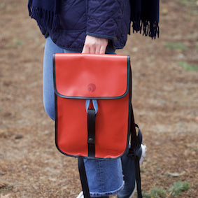 Petit Gravelot - 12L